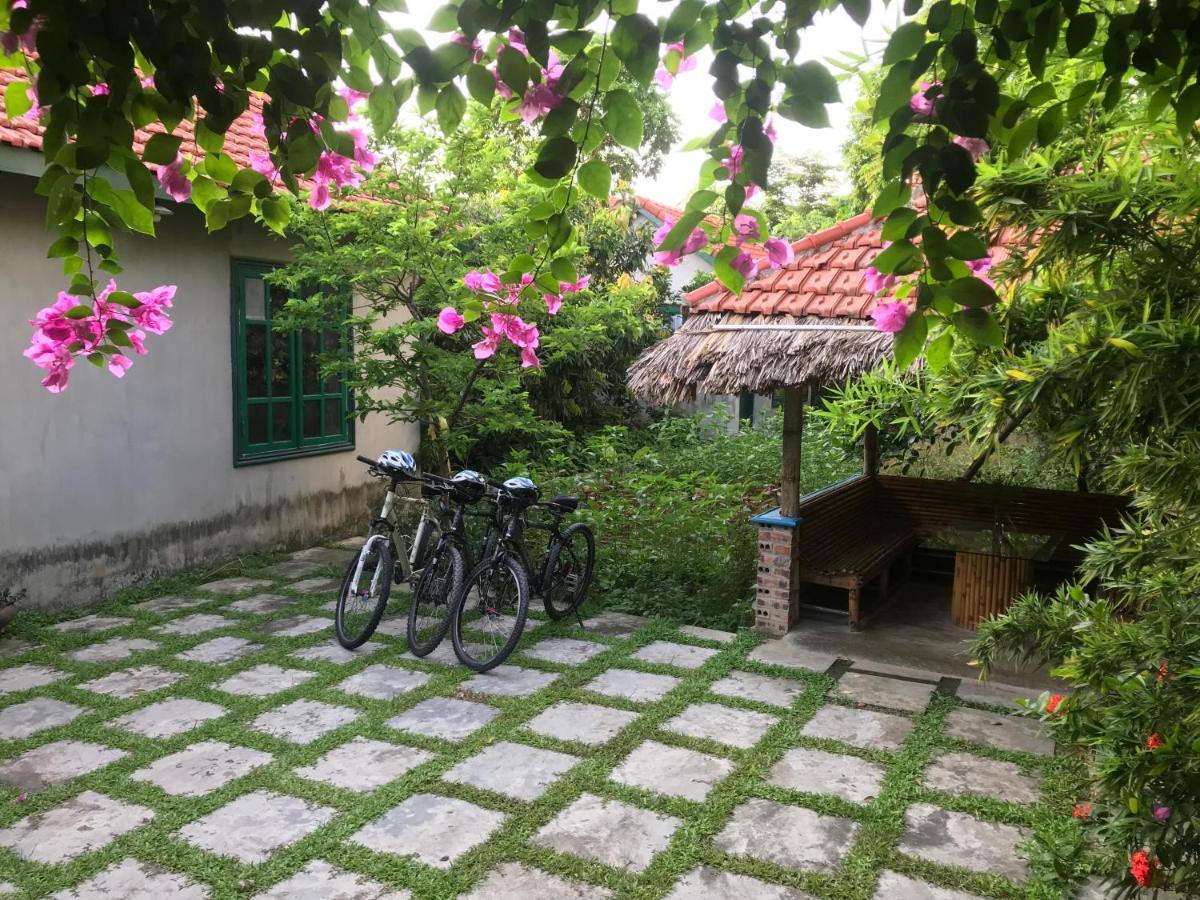 Tam Coc Eco House Διαμέρισμα Νιν Μπιν Εξωτερικό φωτογραφία