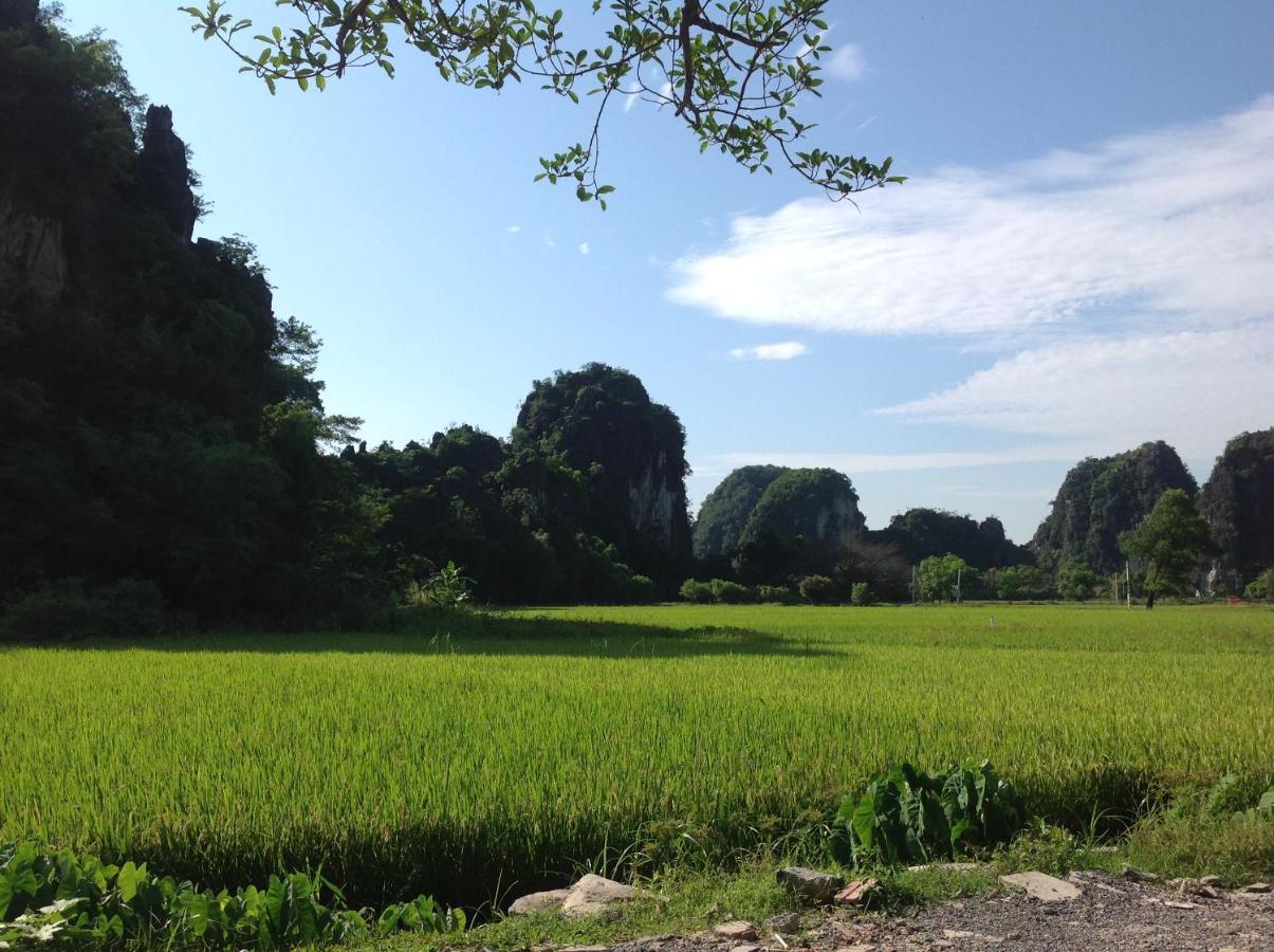 Tam Coc Eco House Διαμέρισμα Νιν Μπιν Εξωτερικό φωτογραφία